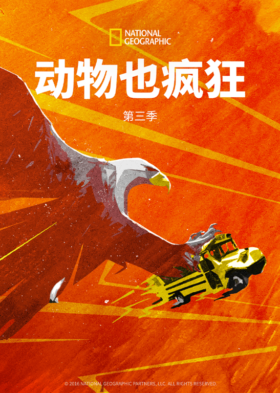 动物也疯狂 第3季