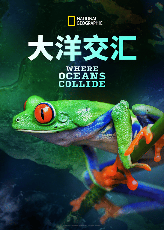 大洋交汇