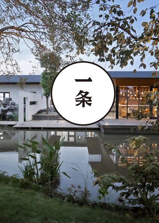 一条2017