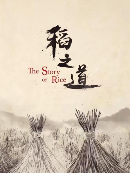 稻之道