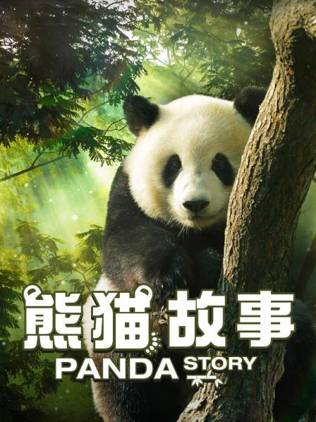 熊猫故事