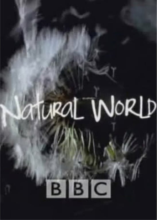 BBC自然世界