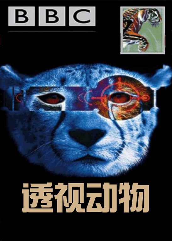 BBC透视动物-生存挣扎
