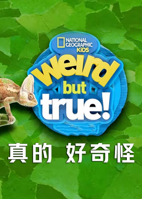 真的 好奇怪 第2季