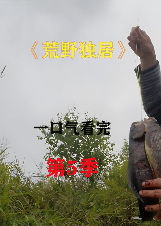 荒野独居第五季