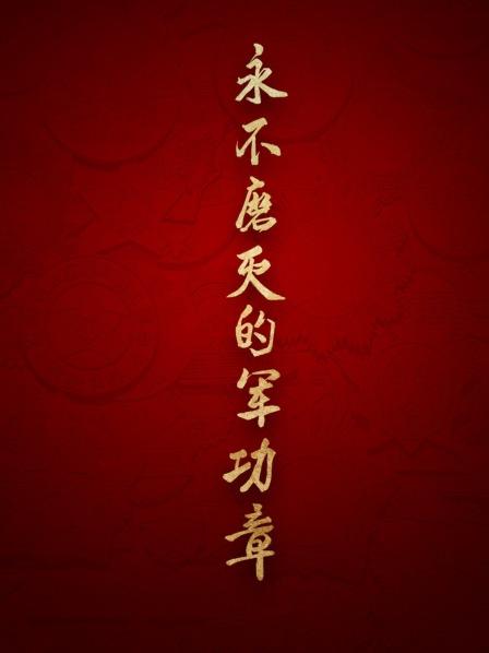 永不磨灭的军功章