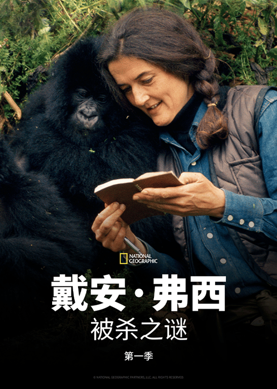 戴安·弗西被杀之谜 第一季