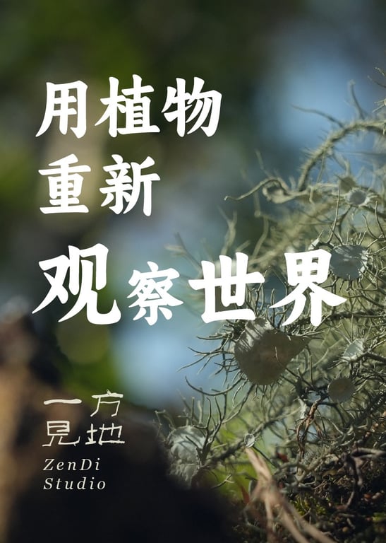 带你用植物重新观察世界