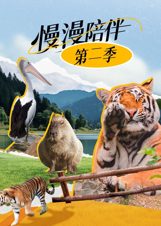 漫漫陪伴-第二季