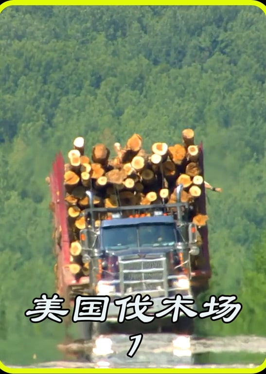 美国伐木公司