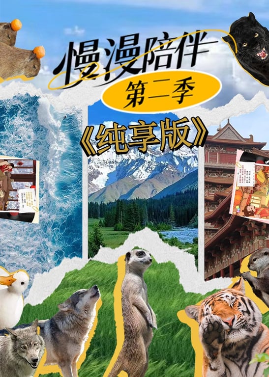 纯享版《漫漫陪伴》第二季