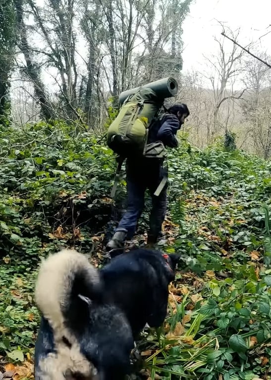 抓猫的鱼荒野求生记录片