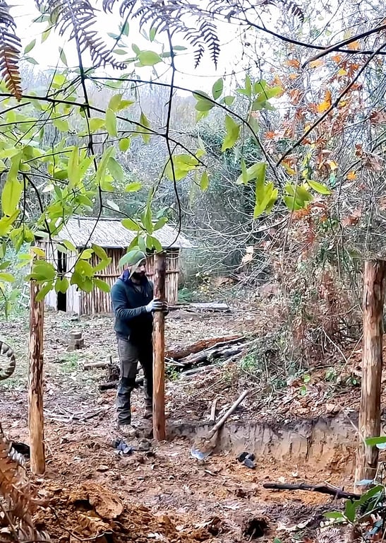 图谈荒野求生记录片