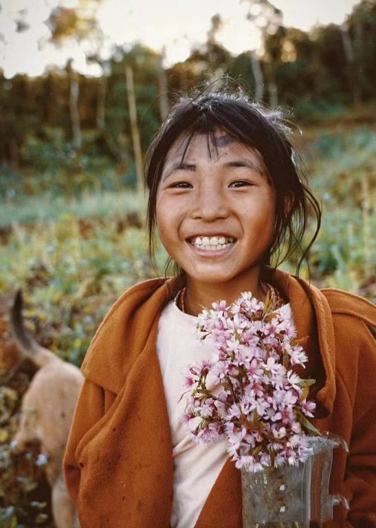 社会百态细品解说合集