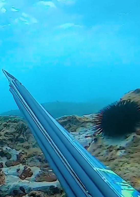 海底捕鱼