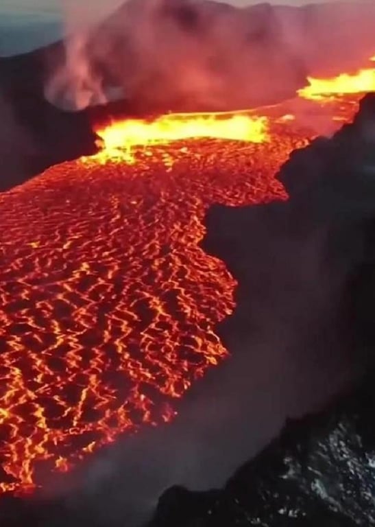 你知道吗？火山附近也是有生命的，并且生活的很好