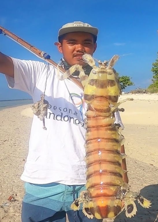 国外赶海抓皮皮虾，泥滩红树林抓青蟹，出海捕捞鱼群