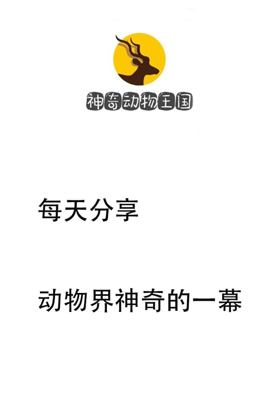 原始部落猎奇
