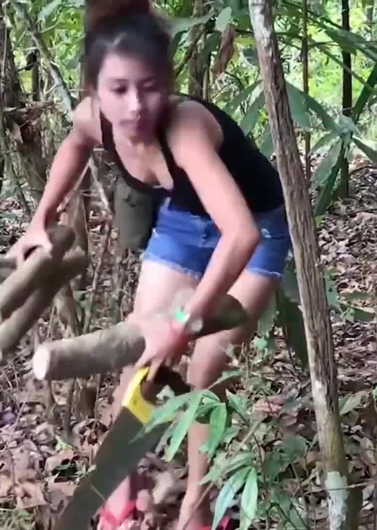 荒野探索生活