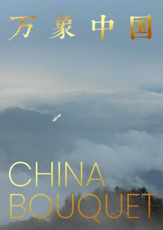 万象中国——超越万象，探寻中国