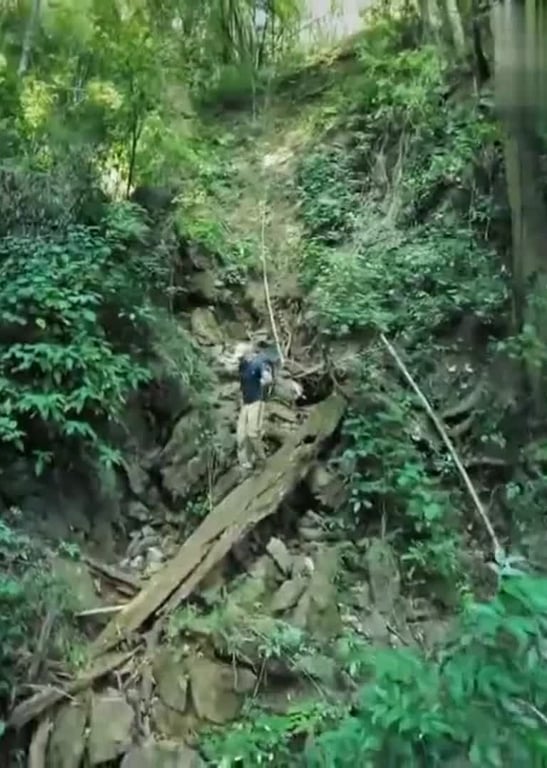 荒野求生专栏