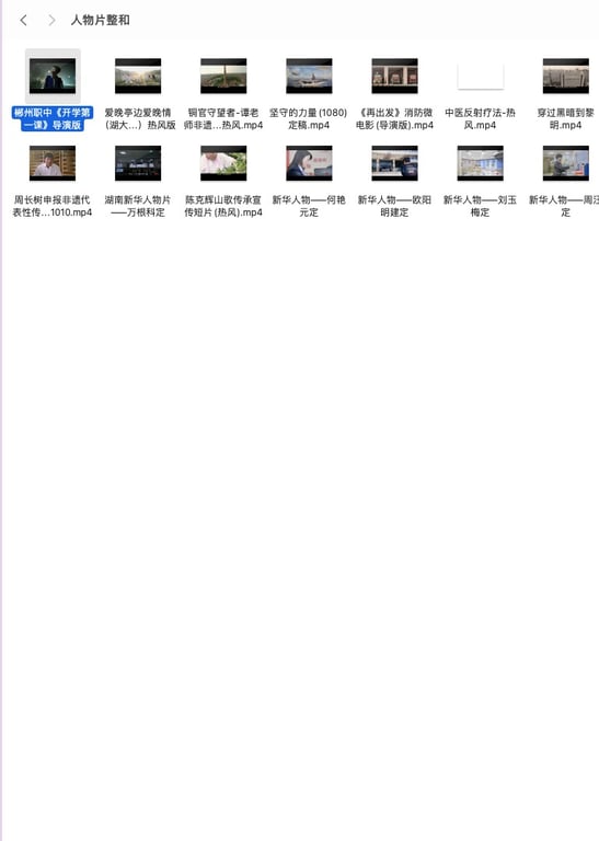 人物片