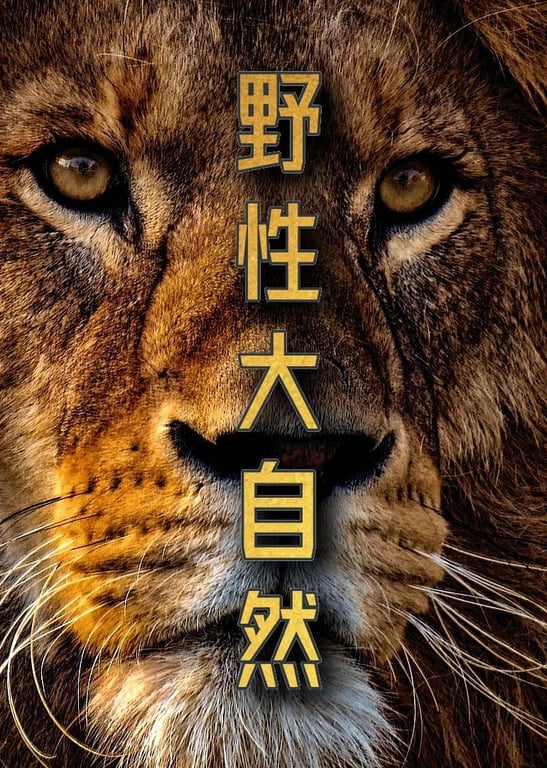 野性大自然 Wild nature