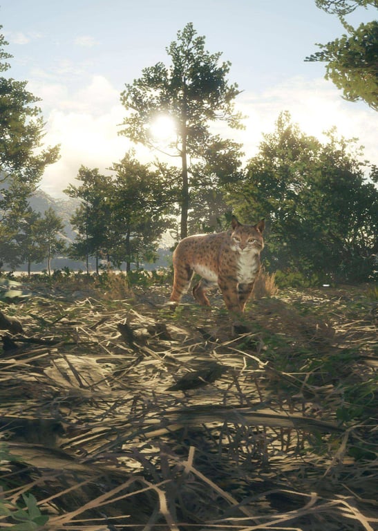 世界荒野狩猎