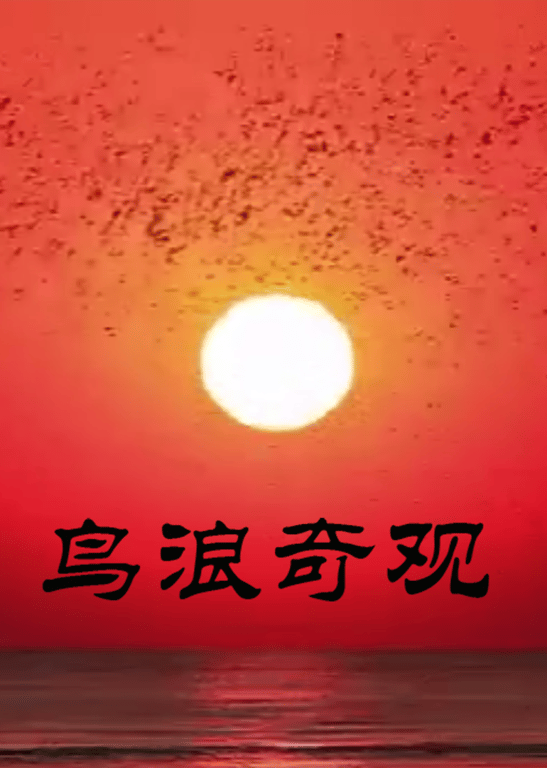 鸟浪奇观