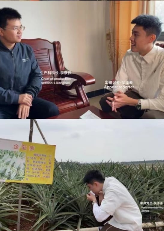 走近湛江专题纪录片-《徐闻菠萝的前世今生》吴泽豪（2022毕业设计）
