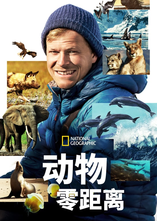 贝尔蒂·格雷戈里：与动物零距离