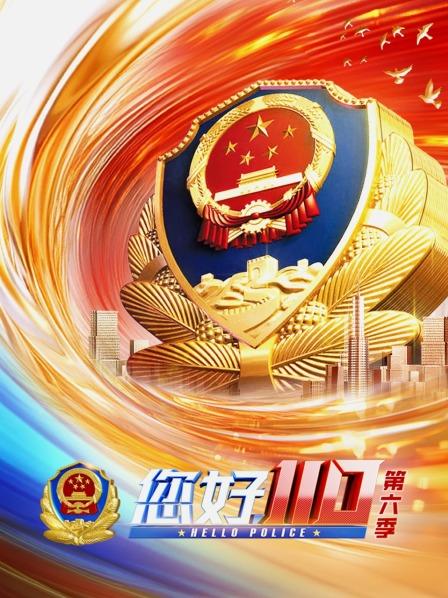 您好，110 第六季