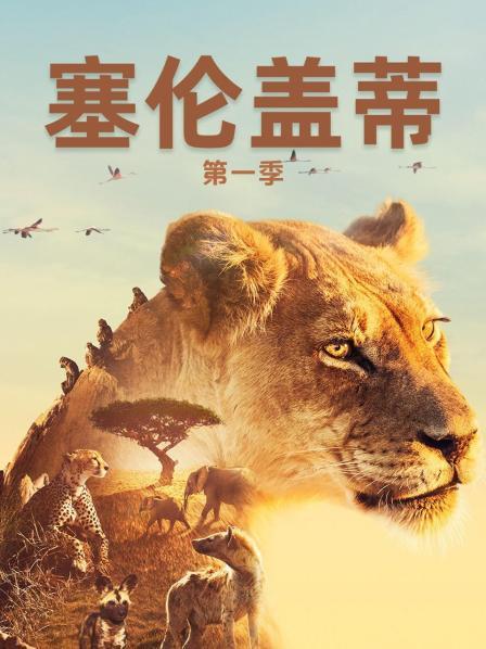 塞伦盖蒂 第一季