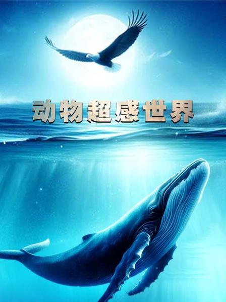 动物超感世界