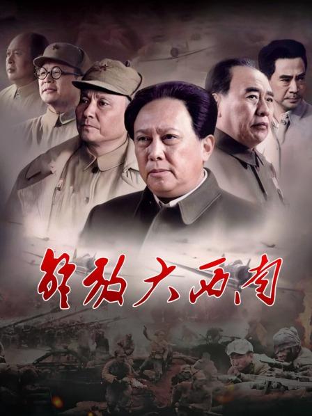 解放大西南