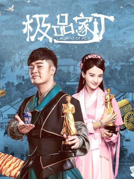 极品家丁
