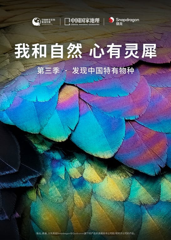 我和自然 心有灵犀 第3季：发现中国特有物种