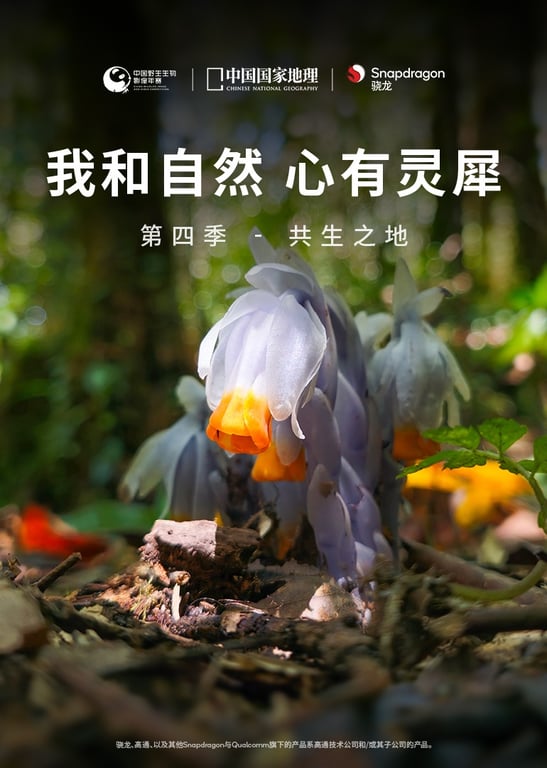 我和自然 心有灵犀 第4季：共生之地