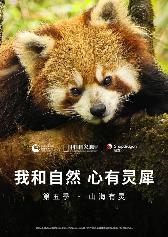 我和自然 心有灵犀 第5季：山海有灵