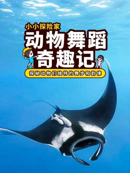 动物爱跳舞：探秘动物们独特的舞步和韵律