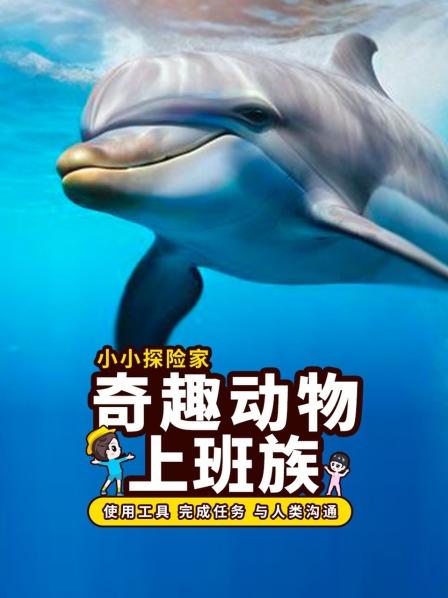 动物爱打工：动物如何面对工作挑战