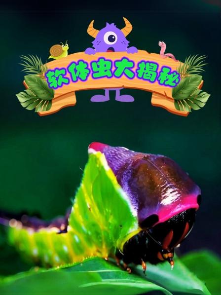 软体虫大揭秘 先导片