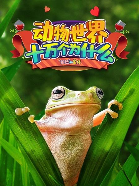 会飞的蜜袋鼯