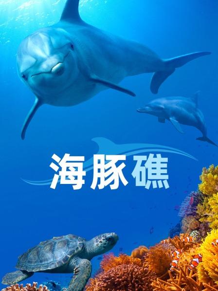 海豚礁