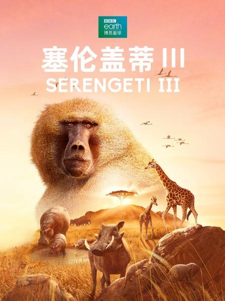 母狮卡丽为娃找后爸 狒狒巴卡利王位遭挑战