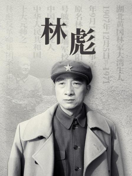解放东北系列之林彪打锦州