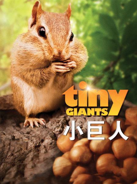 小巨人