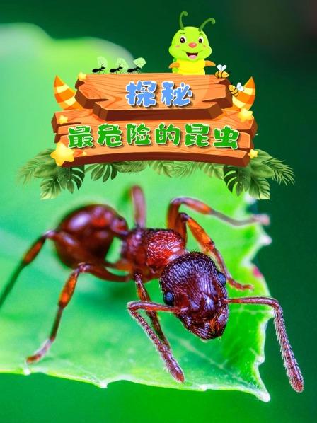 先导片 探秘最危险的昆虫
