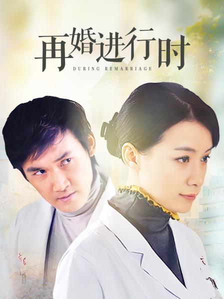 再婚进行时