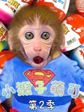 小猴子萌可 第2季